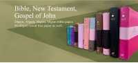 Bible, New Testament, Goospel of John_工作區域 1.jpg